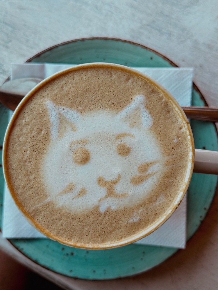 猫の顔が描かれたラテアート